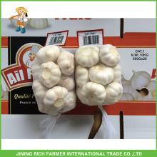 Großhandel 4.5cm Knoblauch Knoblauch im Karton aus China